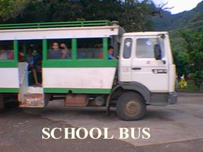 Local School Bus