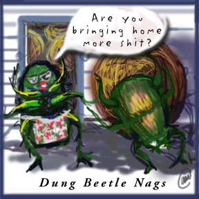 Beetle Toon