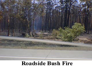 Roadside Bush Fire.