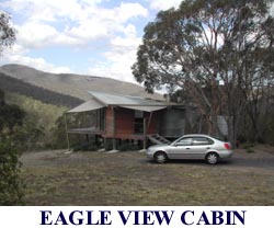 Eagle View Cabin