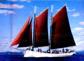 On Frenchmens' Bay