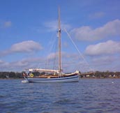 The Alice Wragg