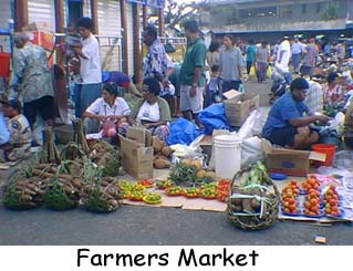 Farmers Market