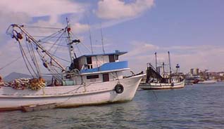 Fishing boats in Manta