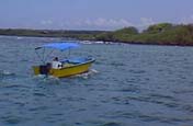 water taxi