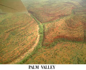 Palm Valley.