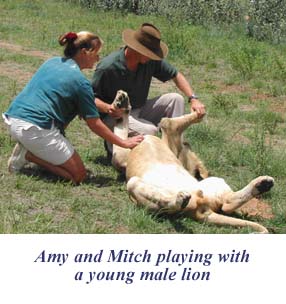 Amy, Mitch and a very big kitty