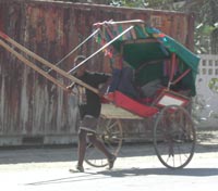 Pousse pousse driver and cart.