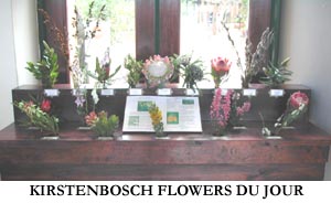 The flowers of Kristenbosch.