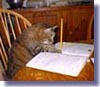 Stewart at Work